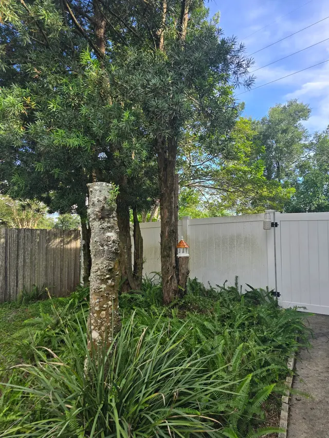 Customer photo of work by THERE'S A WAY TREE SERVICE LLC, from Nick C's review