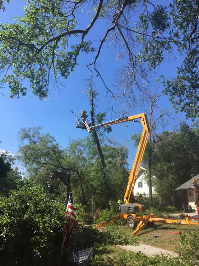 THERE'S A WAY TREE SERVICE LLC — photo from the business 4