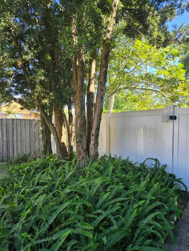 Customer photo of work by THERE'S A WAY TREE SERVICE LLC, from Nick C's review