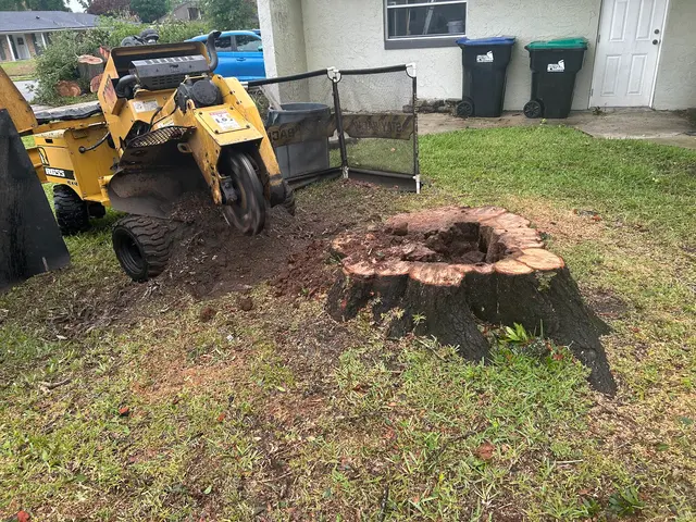 THERE'S A WAY TREE SERVICE LLC — photo from the business 11