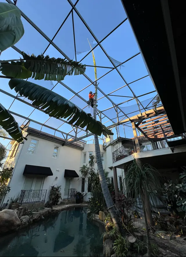 THERE'S A WAY TREE SERVICE LLC — photo from the business 1