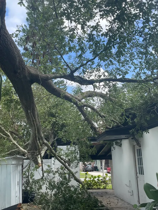 THERE'S A WAY TREE SERVICE LLC — customer photo 7