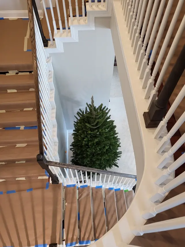 Customer photo of work by Tree Drop, LLC, from John Sylora's review