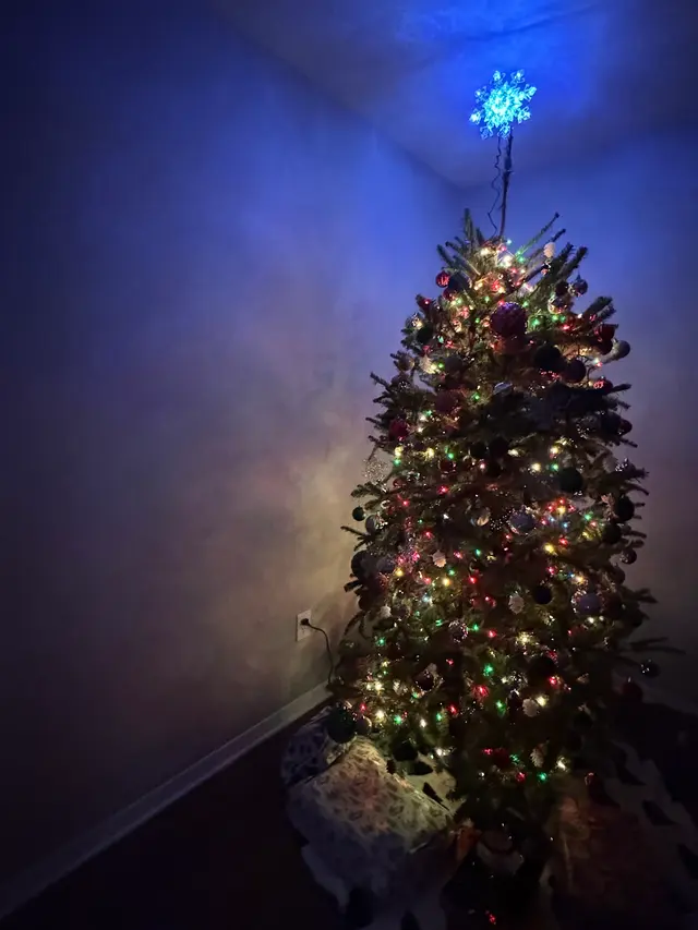 Customer photo of work by Tree Drop, LLC, from Sarah Lopes's review