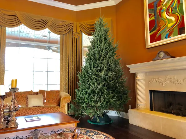 Tree Drop, LLC — photo from the business 6