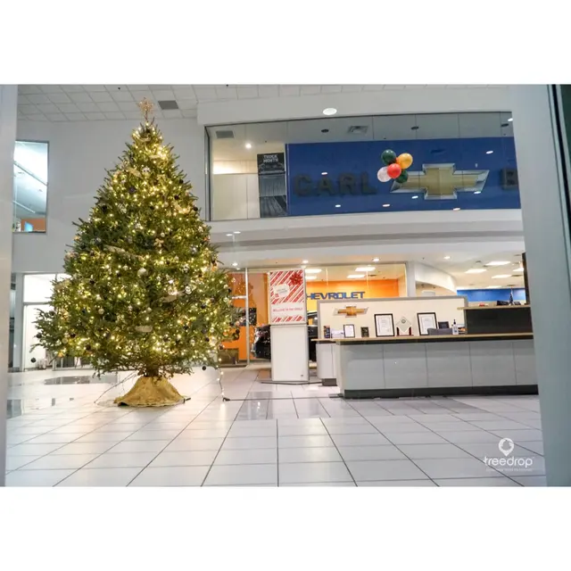Tree Drop, LLC — photo from the business 8
