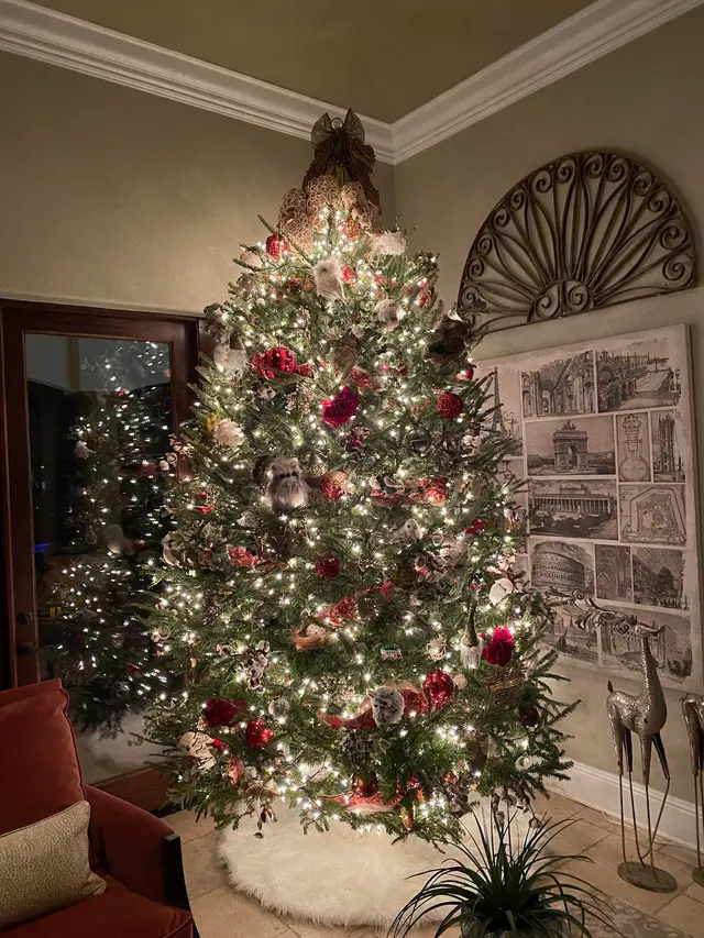 Tree Drop, LLC — customer photo 4