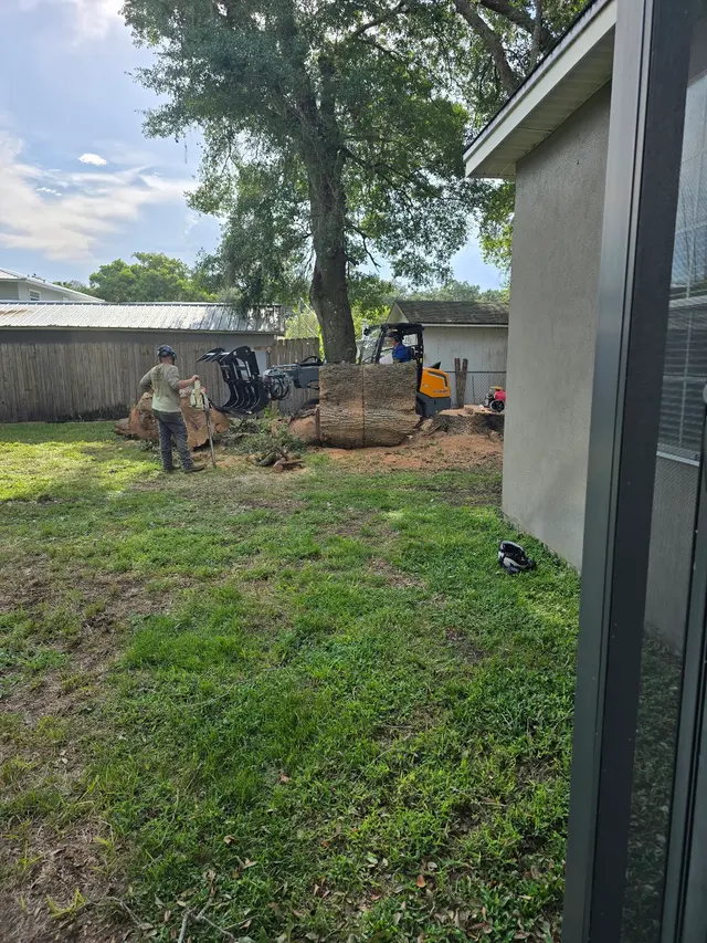 Customer photo of work by JDW Outdoors Tree & Land Services, from The Hill People Rob & Susan's review