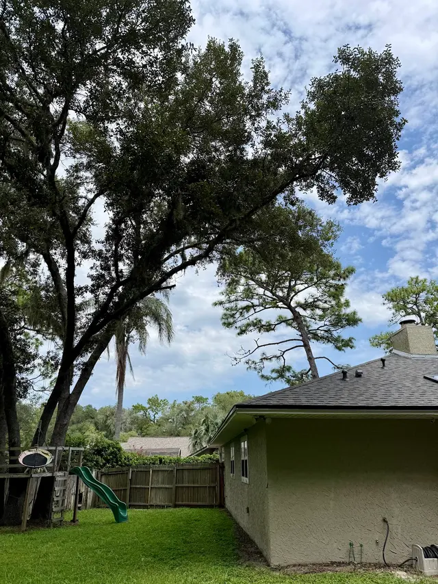 JDW Outdoors Tree & Land Services — customer photo 4