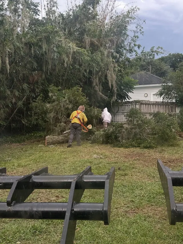 JDW Outdoors Tree & Land Services — photo from the business 12