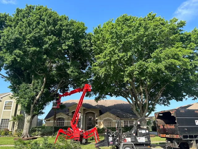 JDW Outdoors Tree & Land Services — photo from the business 5