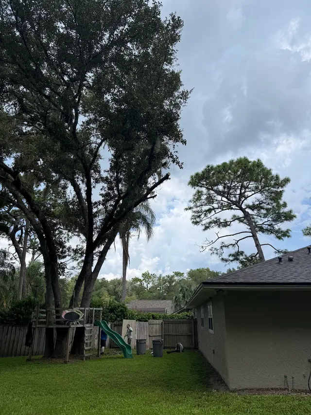Customer photo of work by JDW Outdoors Tree & Land Services, from steve d's review