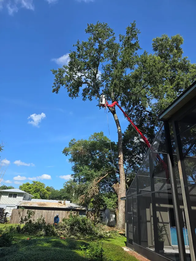 JDW Outdoors Tree & Land Services — customer photo 10