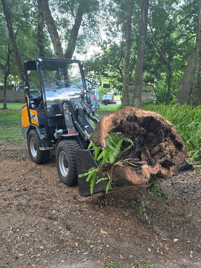 Customer photo of work by JDW Outdoors Tree & Land Services, from The Hill People Rob & Susan's review
