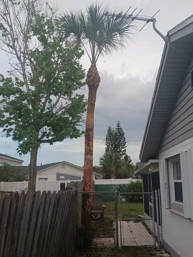 JDW Outdoors Tree & Land Services — customer photo 2