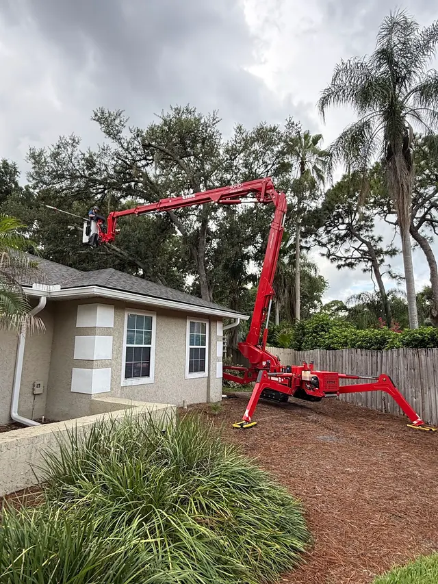 JDW Outdoors Tree & Land Services — customer photo 3
