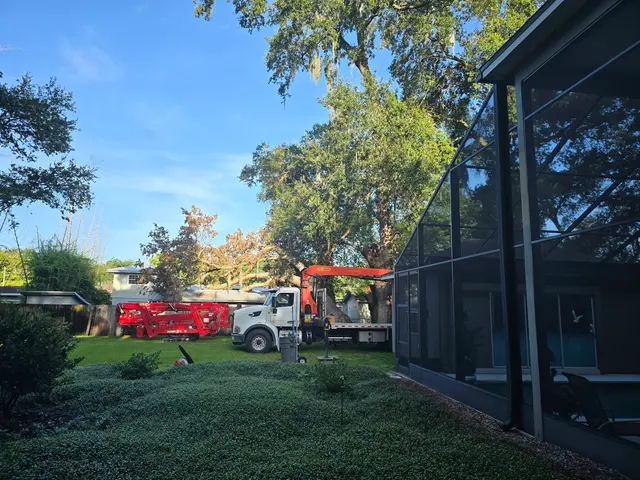 Customer photo of work by JDW Outdoors Tree & Land Services, from The Hill People Rob & Susan's review