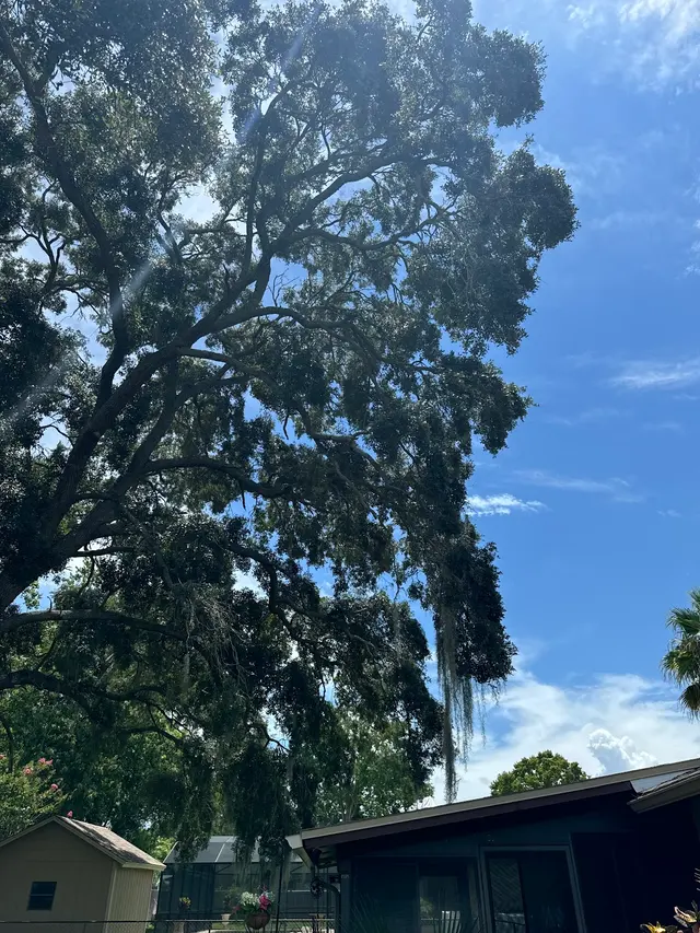 JDW Outdoors Tree & Land Services — photo from the business 7