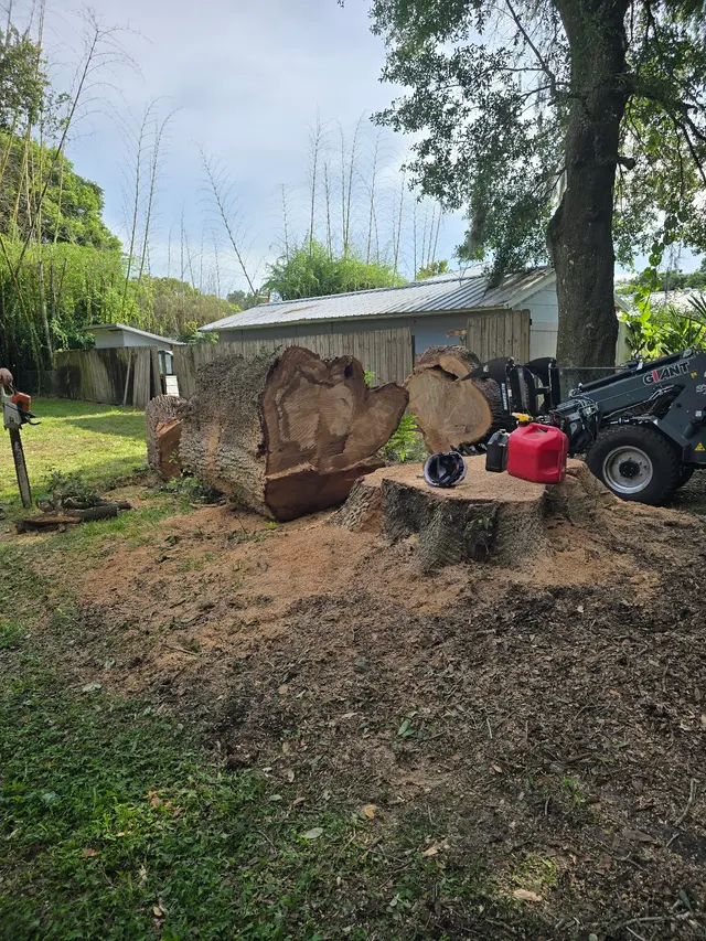 Customer photo of work by JDW Outdoors Tree & Land Services, from The Hill People Rob & Susan's review