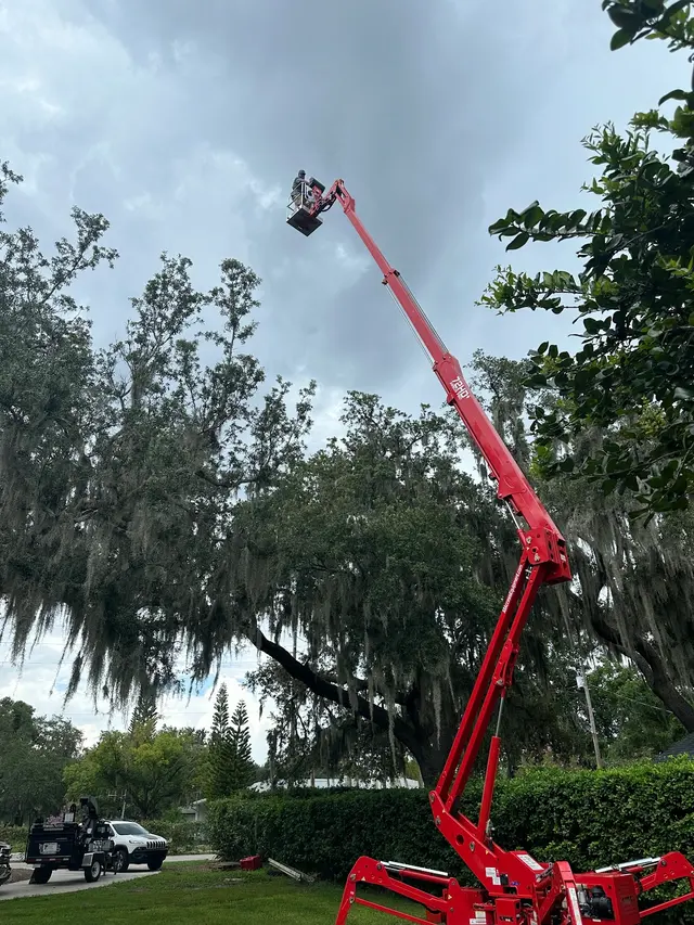 JDW Outdoors Tree & Land Services — photo from the business 1