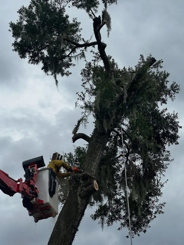 JDW Outdoors Tree & Land Services — photo from the business 11