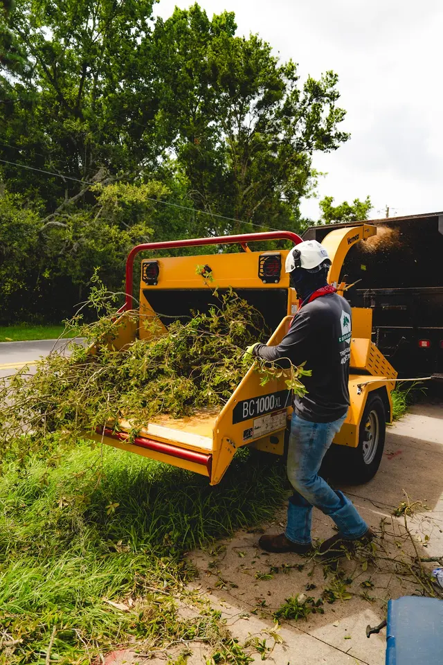Cerroblanco Tree Service LLC — photo from the business 1
