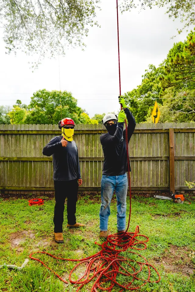Cerroblanco Tree Service LLC — photo from the business 4