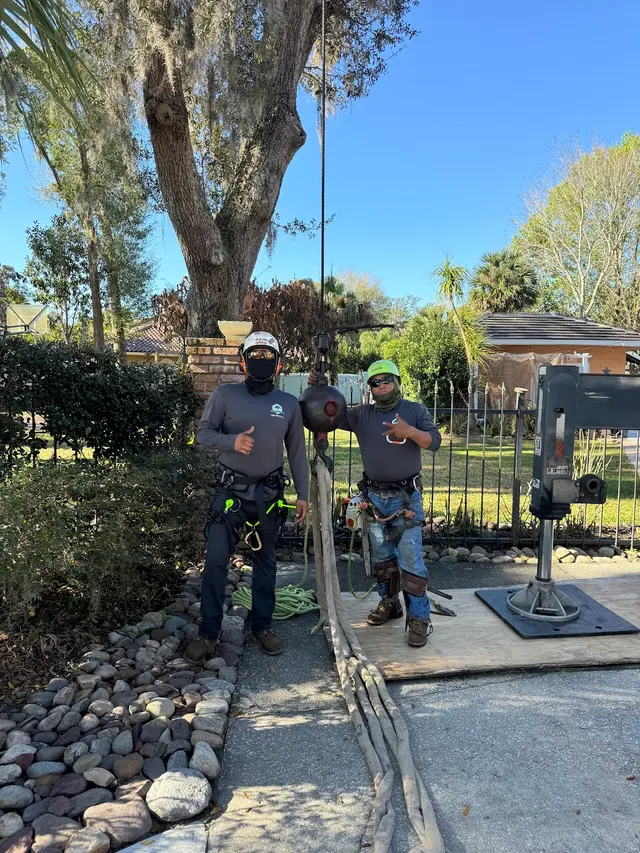 Cerroblanco Tree Service LLC — photo from the business 12