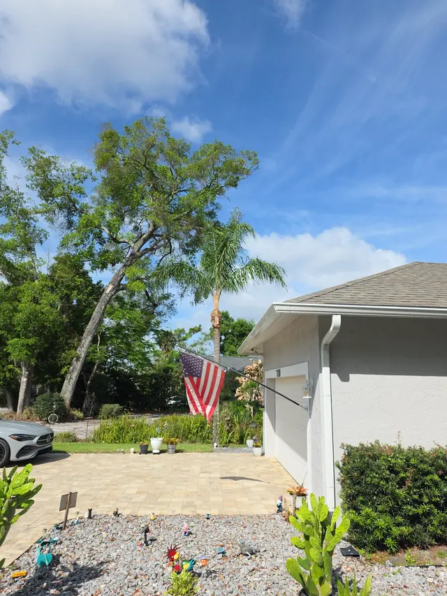 Cerroblanco Tree Service LLC — customer photo 3