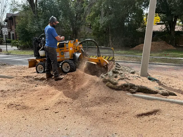 Kevin's Tree Service — photo from the business 10