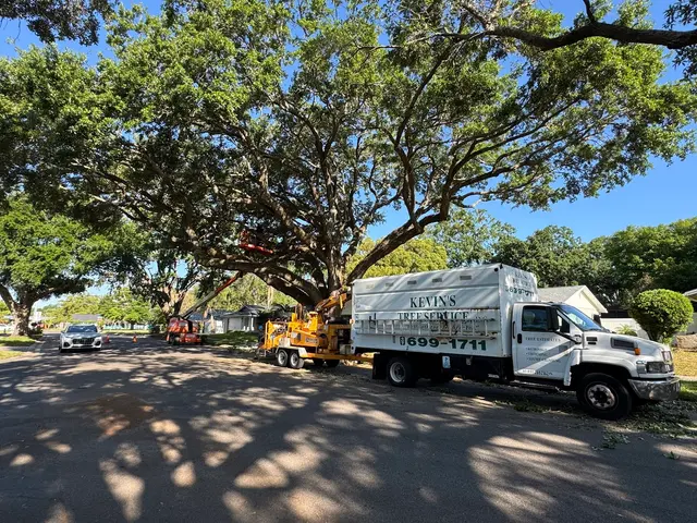 Kevin's Tree Service — photo from the business 1