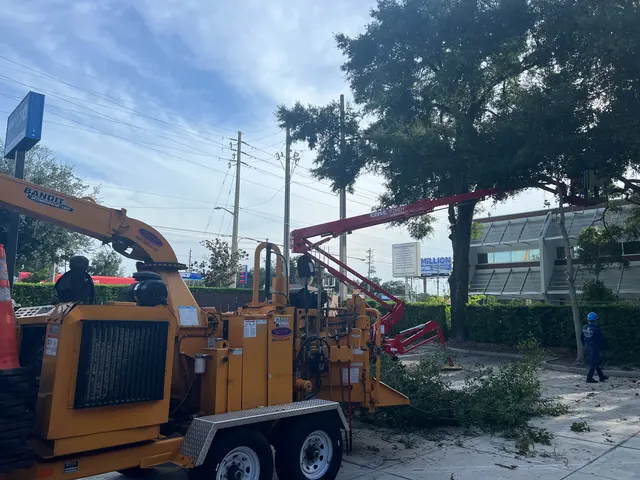 Kevin's Tree Service — photo from the business 5