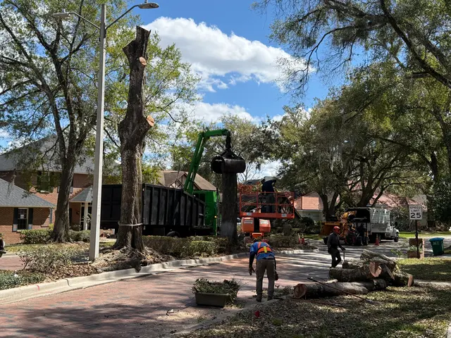 Kevin's Tree Service — photo from the business 4