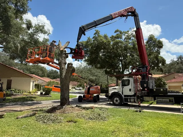 Kevin's Tree Service — photo from the business 3