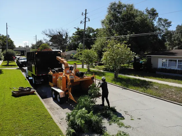 Kevin's Tree Service — photo from the business 9
