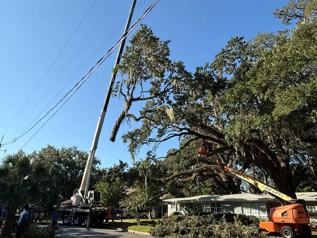Kevin's Tree Service — photo from the business 7