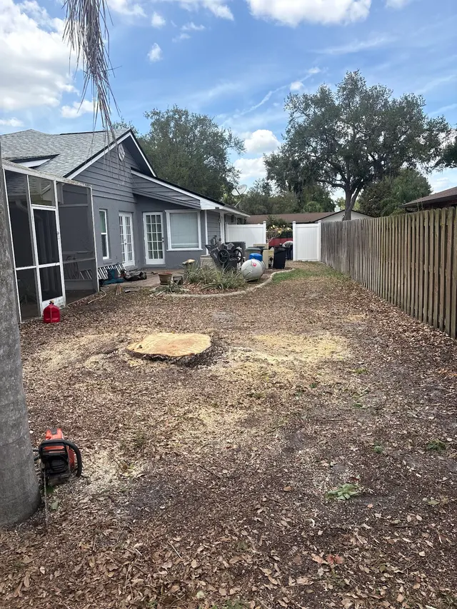 Red Oak Tree Service LLC — customer photo 6