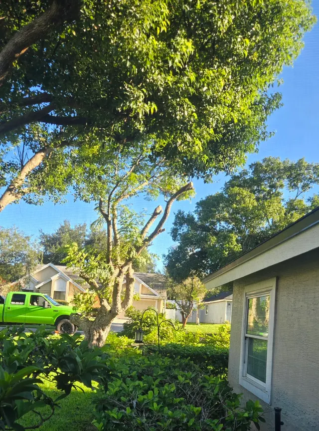 Red Oak Tree Service LLC — customer photo 4
