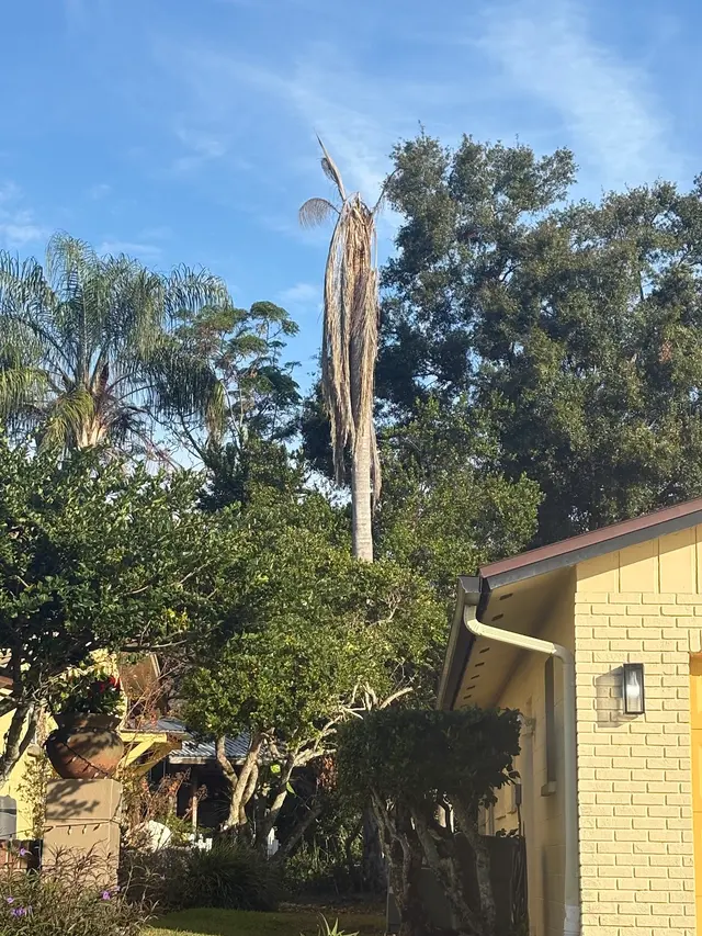 Red Oak Tree Service LLC — photo from the business 12