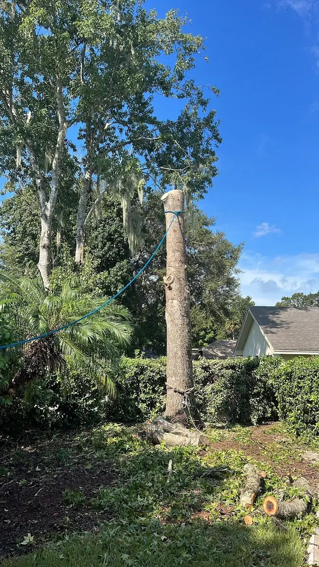 Red Oak Tree Service LLC — photo from the business 5