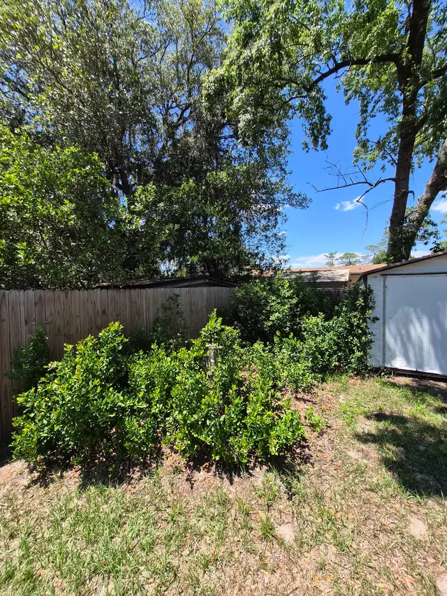 Customer photo of work by Red Oak Tree Service LLC, from Olivia Guerricagoitia's review