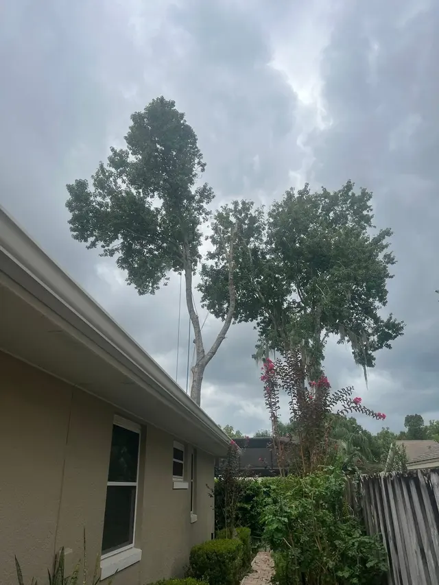 Red Oak Tree Service LLC — photo from the business 3