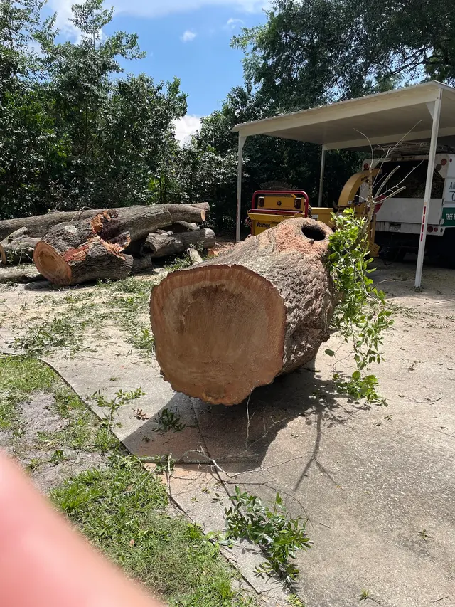 All Southern Outdoor Inc — customer photo 3