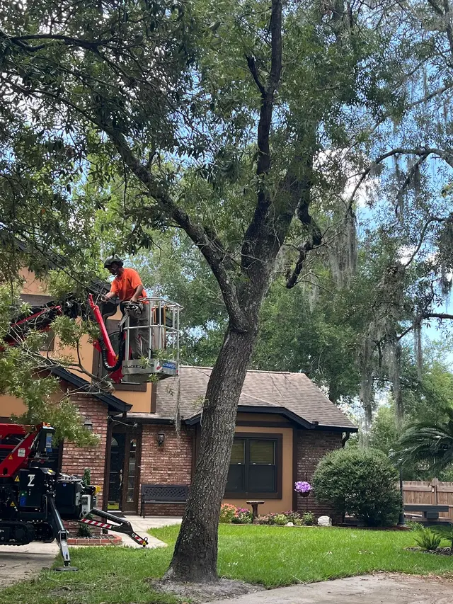 All Southern Outdoor Inc — customer photo 12