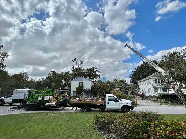 All Southern Outdoor Inc — photo from the business 6