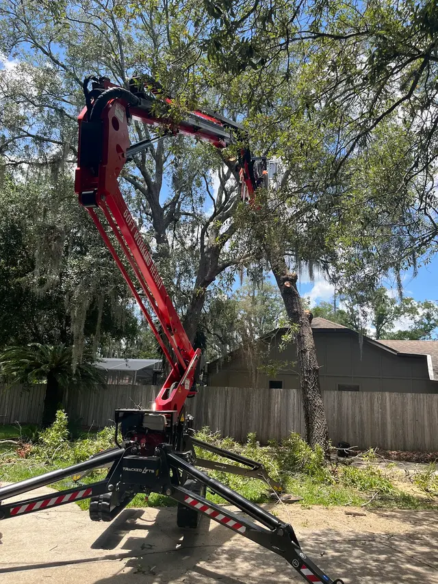 All Southern Outdoor Inc — customer photo 8