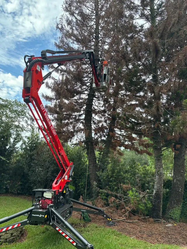 Customer photo of work by All Southern Outdoor Inc, from Doug Jensen's review