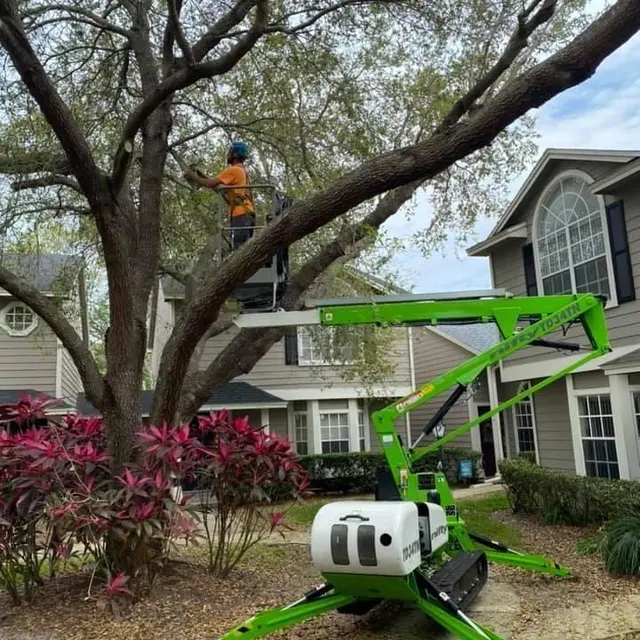 All Southern Outdoor Inc — photo from the business 11