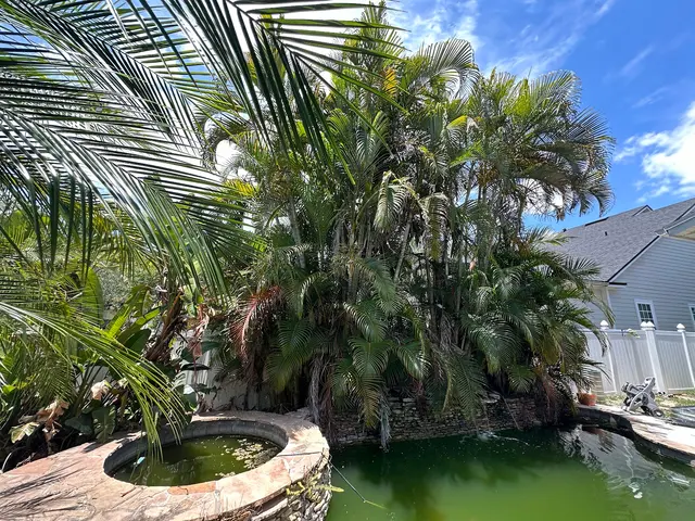 Premier Outdoor Tree Services — customer photo 5