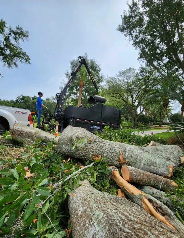 Premier Outdoor Tree Services — photo from the business 7